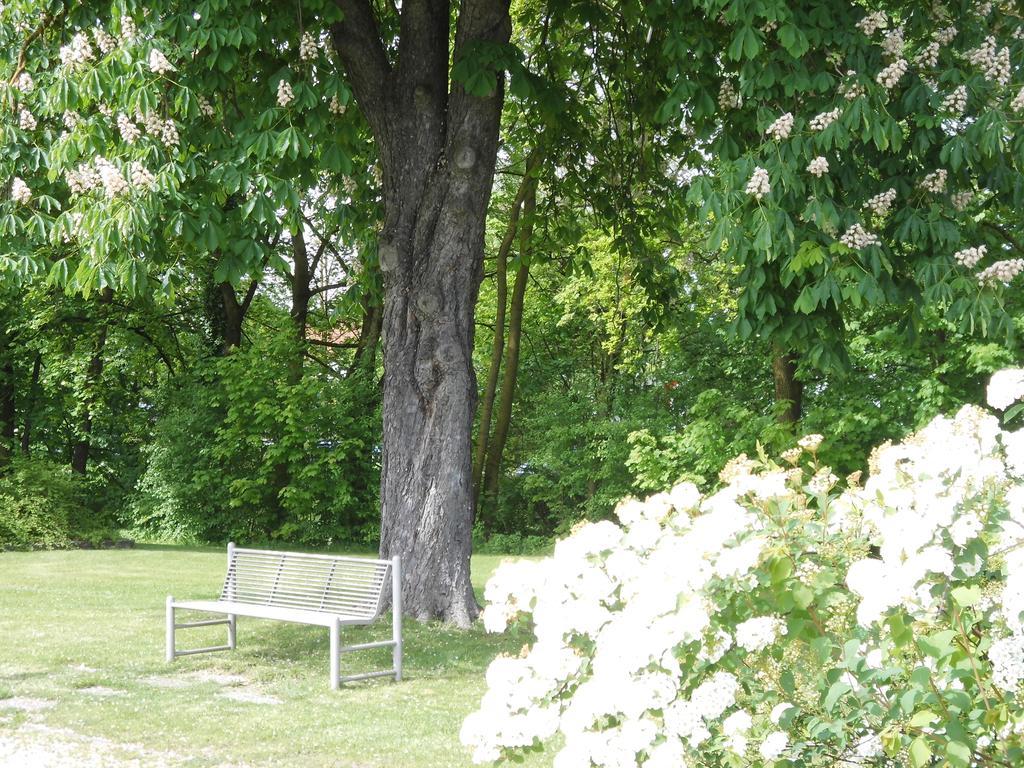 Haus Am Bach - Gemutliche Fruhstuckspension Allershausen Exteriér fotografie